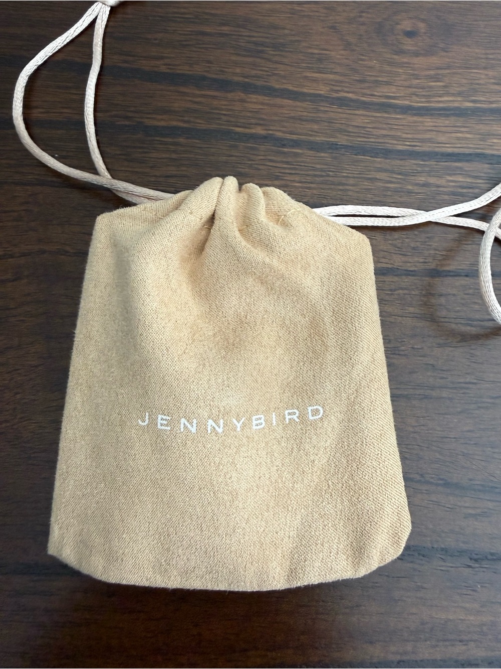 NWT jenny bird silver double layered pendant necklace